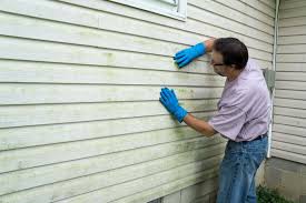 Best Siding Removal and Disposal  in Trainer, PA